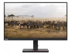 Lenovo L24e-30 23.8_
